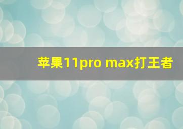 苹果11pro max打王者